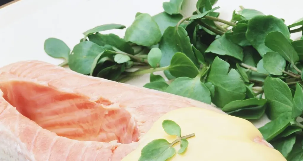 Roze Zalm Voor Zalm Thuis Zouten: Recepten Met Foto's + Video