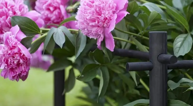 Recinzioni Per Aiuole Con Le Tue Mani - Come Realizzare Una Recinzione Per Un Giardino Anteriore, Un Giardino Fiorito O Un Orto, Istruzioni Passo Passo Con Una Foto