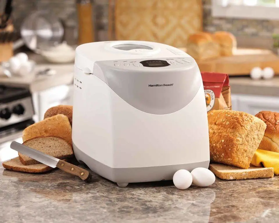 How To Choose A Bread Maker: A Review Of Popular Brands (panasonic, Kenwood, Bork And Others) And Reviews