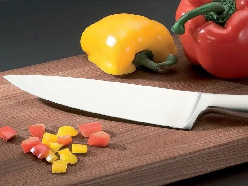 How To Choose A Kitchen Knife: Which Company Is Better And From Which Material