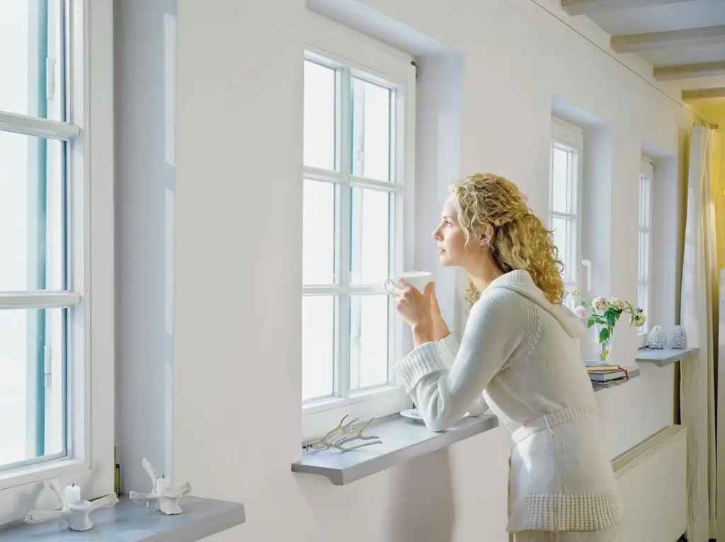 Cómo Transferir Ventanas De Plástico Al Modo De Invierno Y Viceversa: Funciones De Ajuste De Bricolaje, Video Y Foto