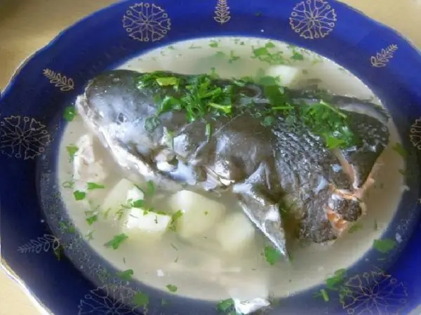 Telinga dari kepala salmon