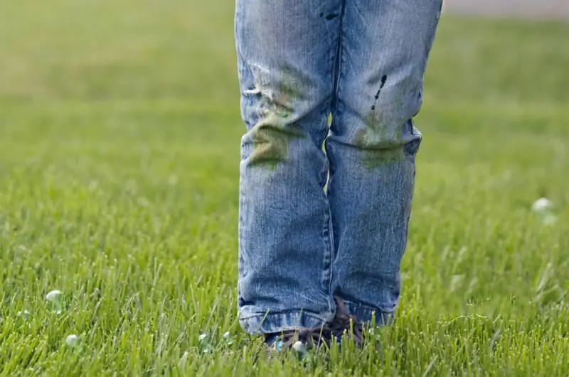 How And How To Get Grass Off Your Jeans: Different Ways To Quickly Get Rid Of Stains At Home