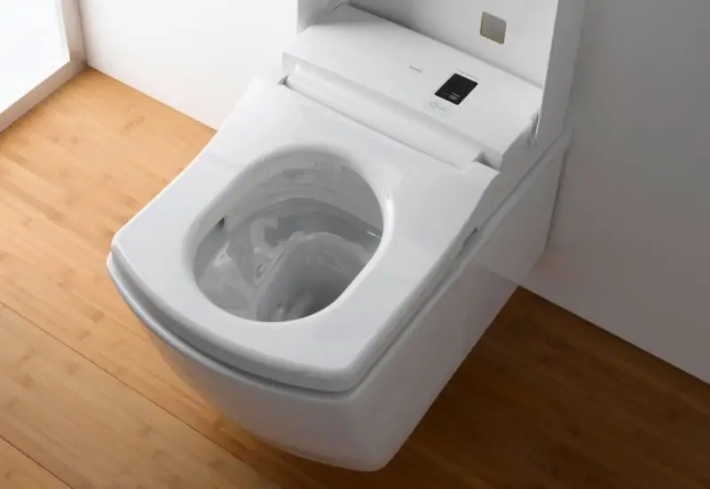 Hoe U Die Toilet Tuis Van Urinêre Klippe Kan Skoonmaak, Hoe U Die Gedenkplaat Van Binne Kan Verwyder (insluitend Die Gebruik Van Volksmiddels)