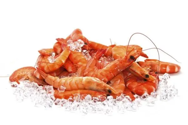 Crevettes sur glace