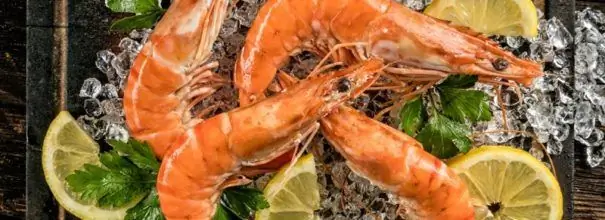 Crevettes sur glace avec tranches de citron