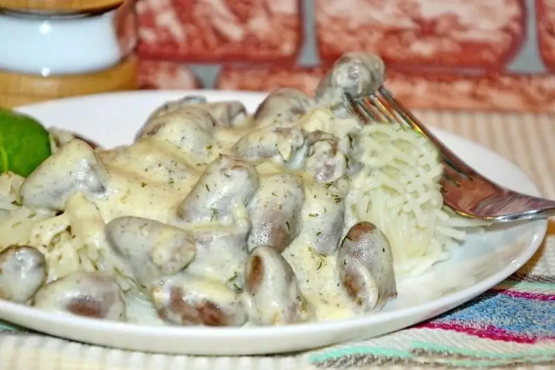 Chicken Hearts: Recipes For A Delicious Dish In Sour Cream, With Onions And Carrots, In A Slow Cooker And An Oven, Instructions With Photos And Videos