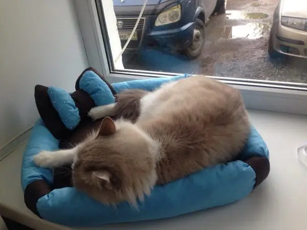 Lounger on the windowsill