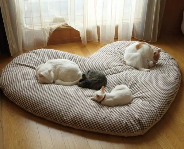 Large heart-shaped pillow with four cats on it