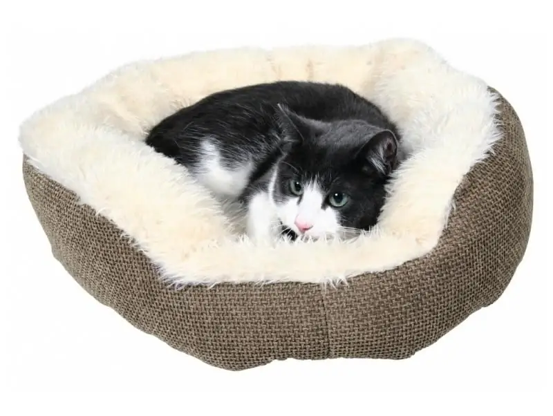 Cara Membuat Tempat Tidur Do-it-yourself Untuk Kucing: Fitur Tempat Tidur Kucing, Pola, Dan Pembuatan