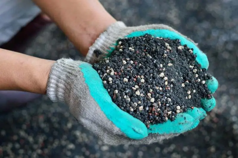 Fertilizzanti Autunnali Per Giardino E Orto: Quando Applicare E Meglio Nutrire Il Terreno