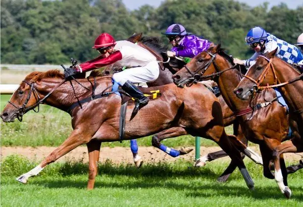 Corrida de cavalo