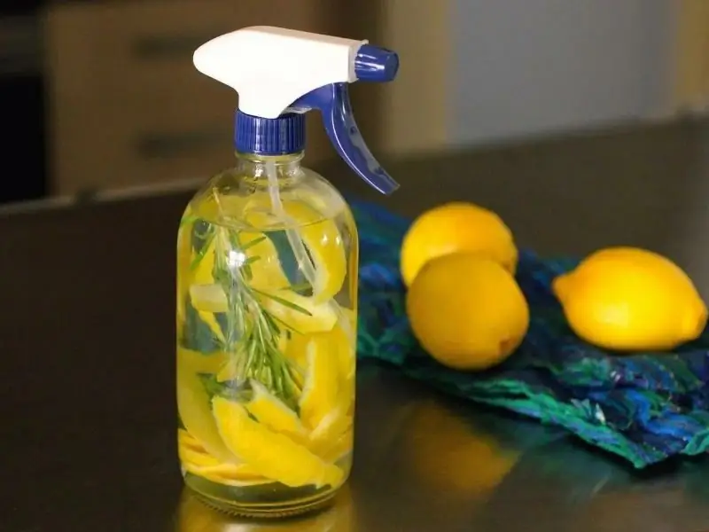 Unusual Everyday Life Hacks With Lemon