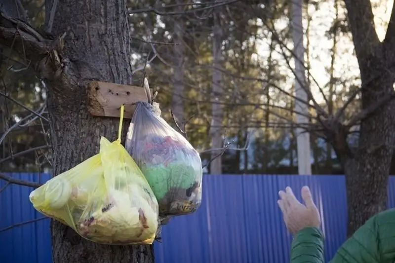 Mengapa Penduduk Tempatan Menggantung Beg Sampah Di Pokok-pokok Di Grozny