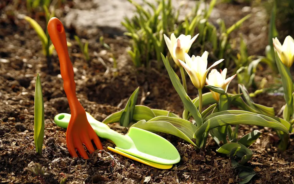 Kerja Berkebun Musim Bunga (Mac, April Dan Mei) Yang Perlu Dilakukan