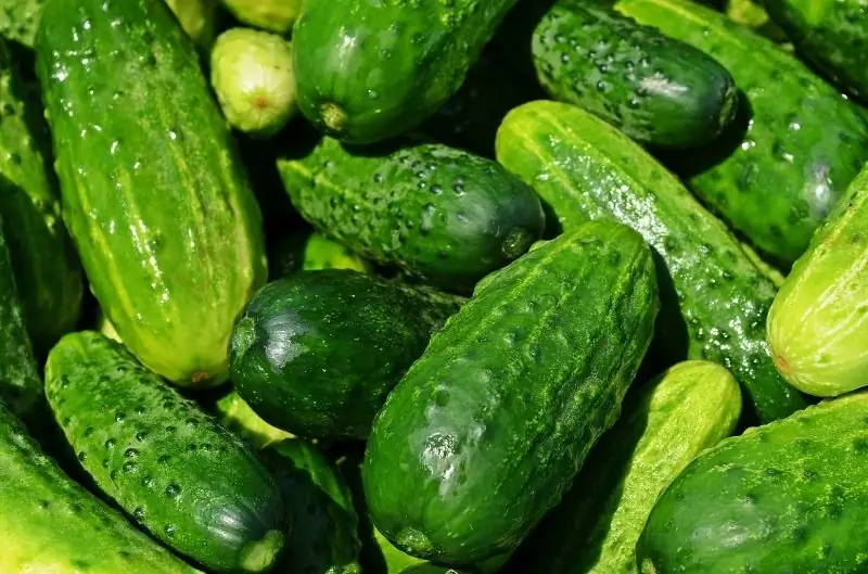 Yuav Ua Li Cas Tshem Tag Nrho Cov Kev Iab Tawm Ntawm Cucumbers