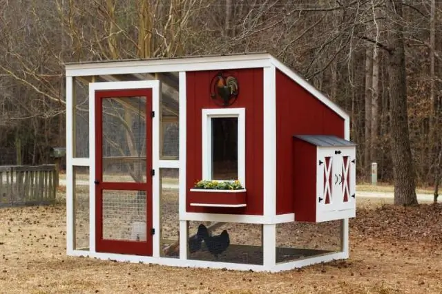 Step-by-step Instructions For Making A Chicken Coop For 5 Chickens With Drawings, Photos And Videos