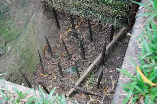 How To Build A Warm Chicken Coop For The Winter With Your Own Hands - Instructions With Photos And Videos