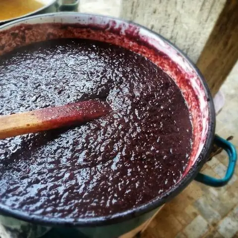 Seedless Plum Jam For The Winter: Simple Recipes For Plum Jam For A Multicooker, Bread Machine And Stove With Different Additives + Photos And Videos