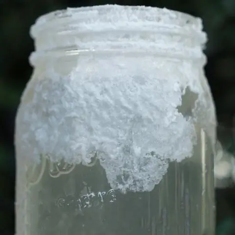 How To Grow A Crystal From Table Or Sea Salt At Home + Video